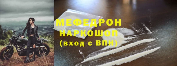 индика Арсеньев