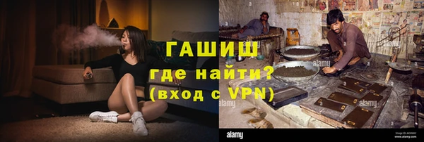 индика Арсеньев