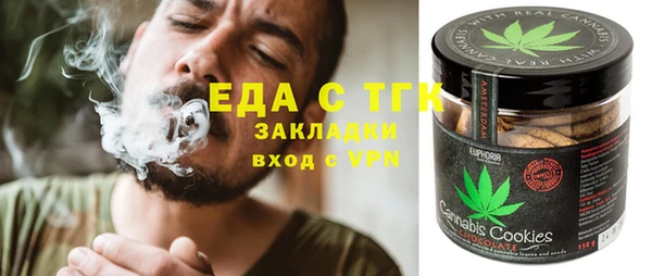индика Арсеньев