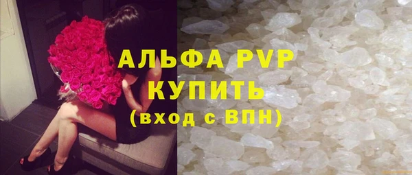 индика Арсеньев