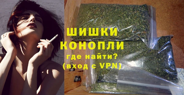 индика Арсеньев