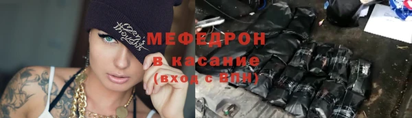 индика Арсеньев