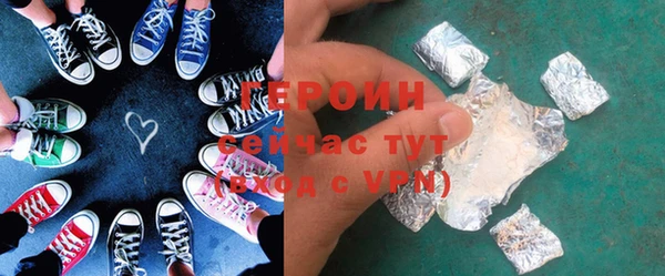 индика Арсеньев