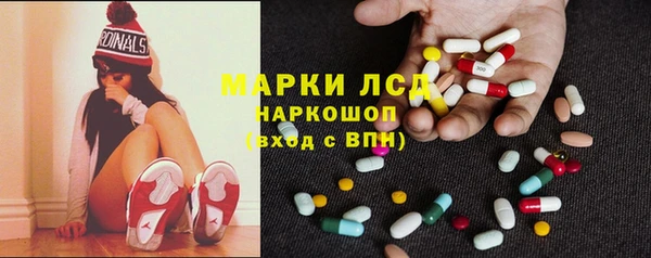 индика Арсеньев