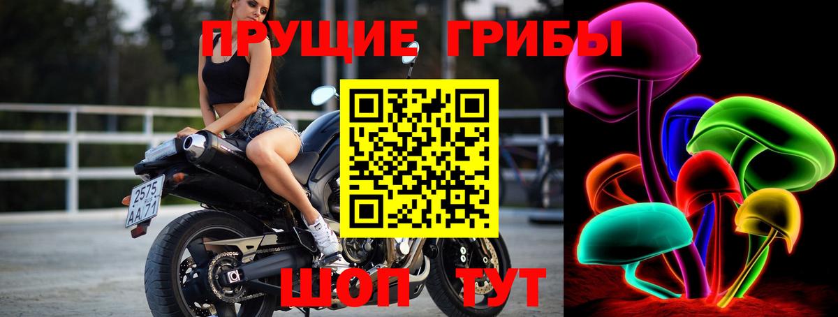 Псилоцибиновые грибы Psilocybe  купить наркотики сайты  Кирово-Чепецк  Вход с VPN 