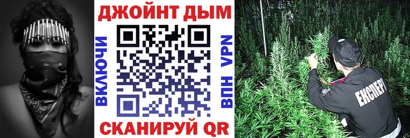 как найти наркотики  Кирово-Чепецк  KRAKEN как войти  Канабис сатива 